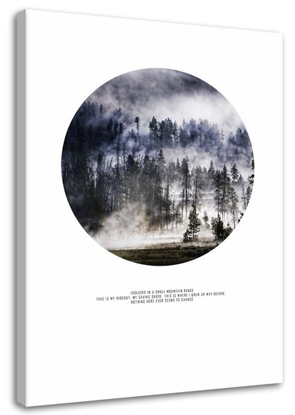 Obraz na plátně Mlžný les Rozměry: 40 x 60 cm