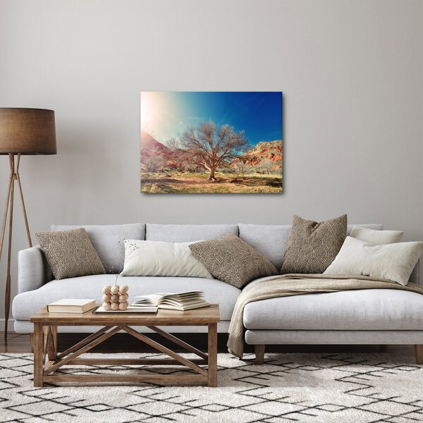 Obraz stromu v poušti (70x50 cm)