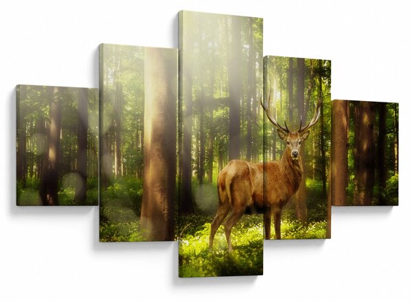 Obraz jelena v lese (125x70 cm)
