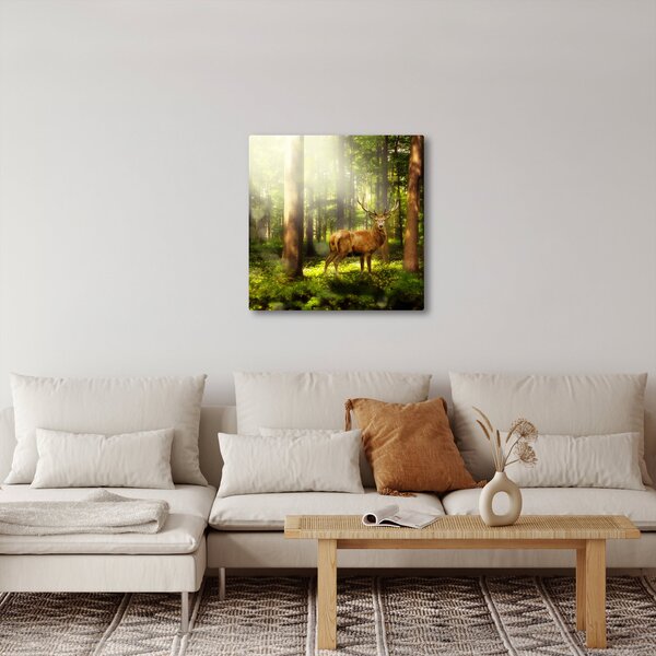 Obraz jelena v lese (30x30 cm)