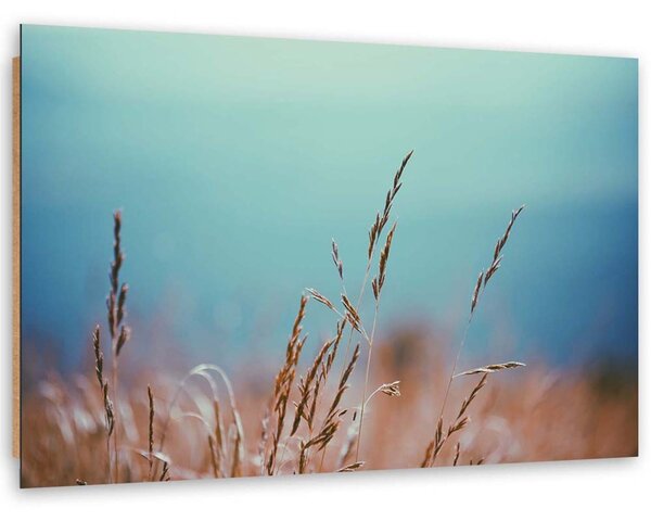 Gario Obraz Travní stébla Velikost: 100 x 70 cm, Provedení: Panelový obraz