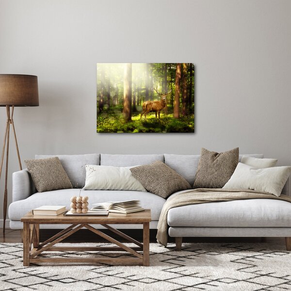 Obraz jelena v lese (70x50 cm)