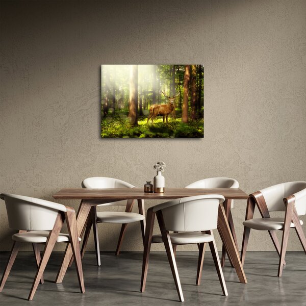 Obraz jelena v lese (70x50 cm)