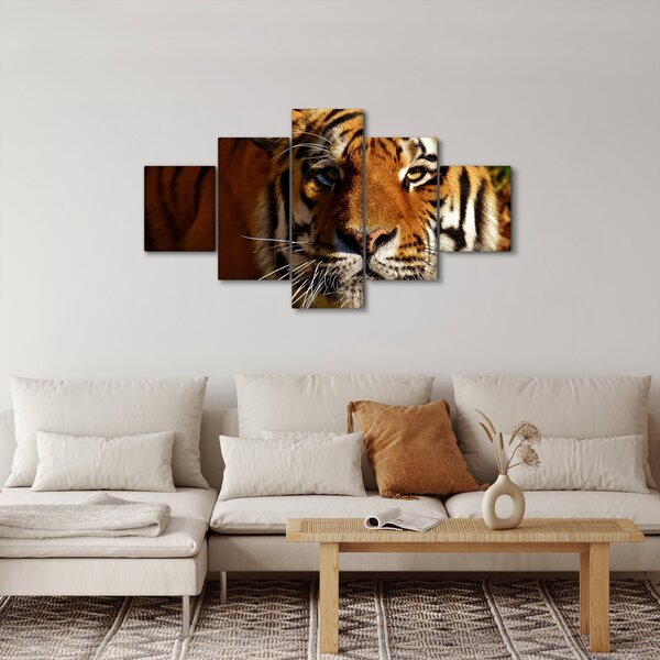 Obraz tygra (125x70 cm)