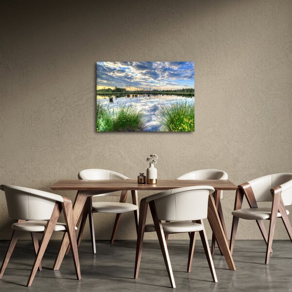Obraz jezera s rákosím (70x50 cm)