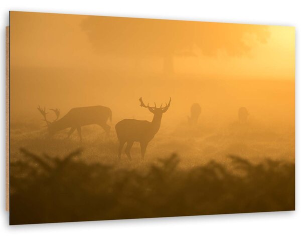 Gario Obraz Stádo jelenů za úsvitu Velikost: 120 x 80 cm, Provedení: Panelový obraz
