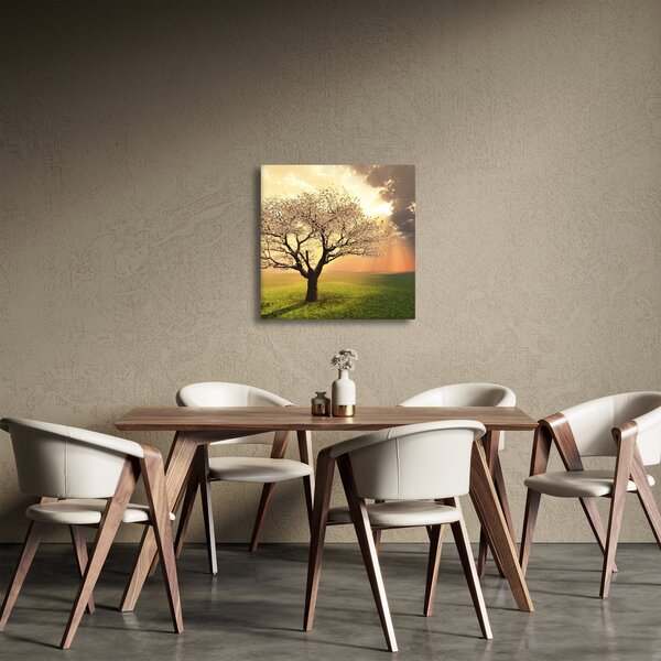 Obraz stromu na louce (30x30 cm)
