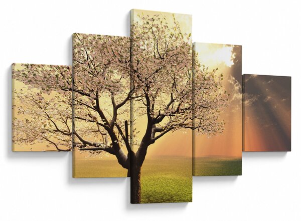 Obraz stromu na louce (125x70 cm)