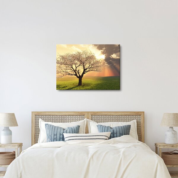 Obraz stromu na louce (70x50 cm)