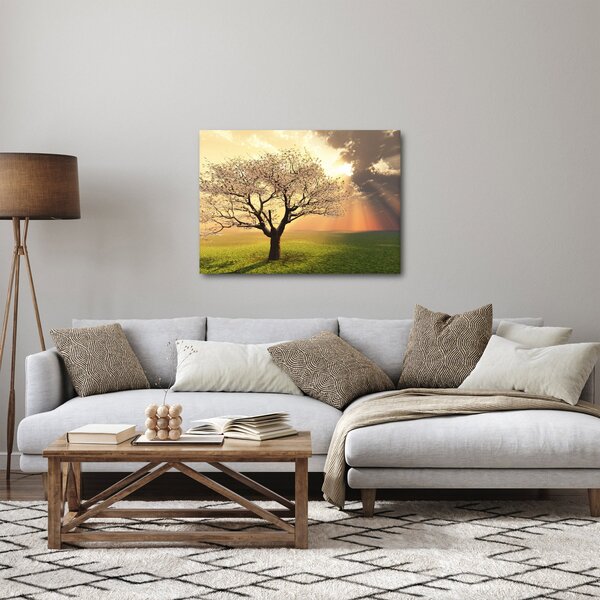 Obraz stromu na louce (70x50 cm)