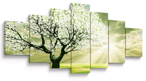 Obraz stromu na louce (210x100 cm)
