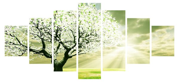 Obraz stromu na louce (210x100 cm)