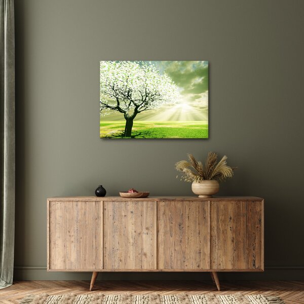 Obraz stromu na louce (70x50 cm)