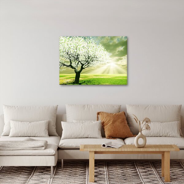 Obraz stromu na louce (70x50 cm)