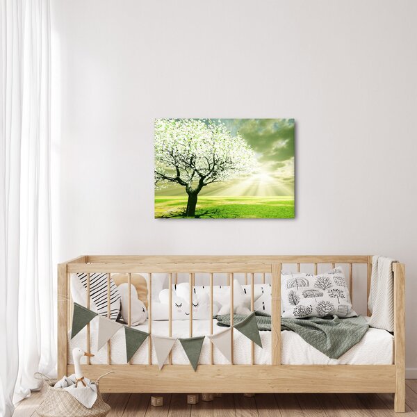 Obraz stromu na louce (70x50 cm)