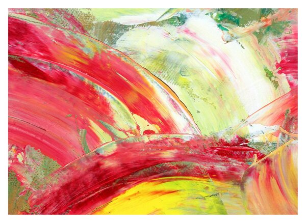 Obraz abstrakce - malba (70x50 cm)