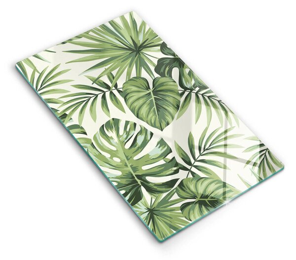 Skleněná deska do kuchyně Ilustrace monstera listy