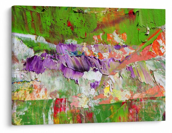Obraz abstrakce - malba (70x50 cm)