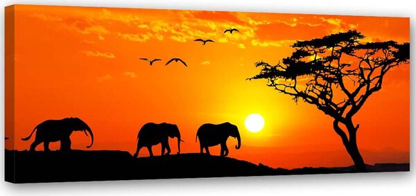 Obraz Panorama africké savany Rozměry: 120 x 40 cm, Provedení: Obraz na plátně