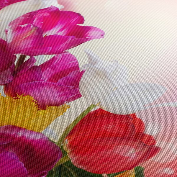 Obraz tulipánů (30x30 cm)