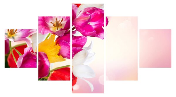 Obraz tulipánů (125x70 cm)