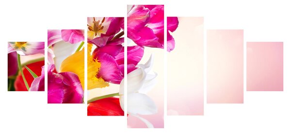 Obraz tulipánů (210x100 cm)
