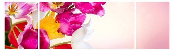 Obraz tulipánů (170x50 cm)