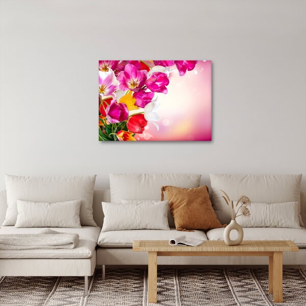 Obraz tulipánů (70x50 cm)