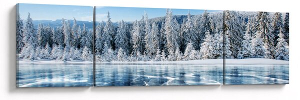 Obraz zamrzlého jezera a zasněžených stromů (170x50 cm)