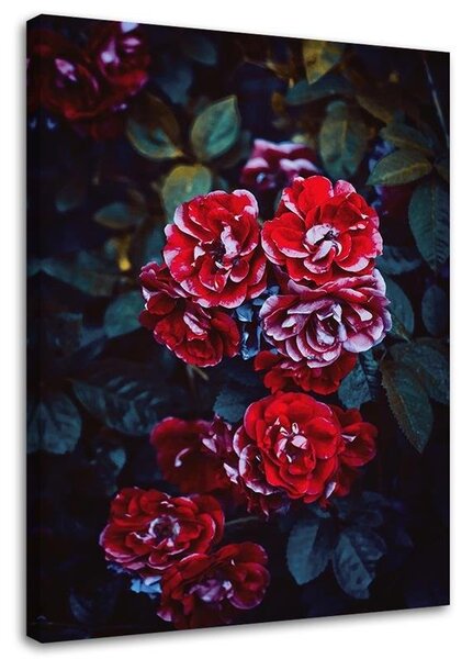 Obraz na plátně Červené květy na pozadí listů Rozměry: 40 x 60 cm