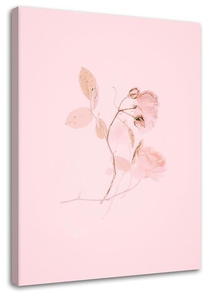 Obraz na plátně Minimalistický růžový květ Rozměry: 40 x 60 cm