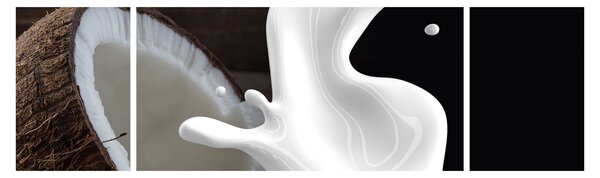 Obraz - kokosové mléko (170x50 cm)
