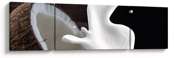 Obraz - kokosové mléko (170x50 cm)
