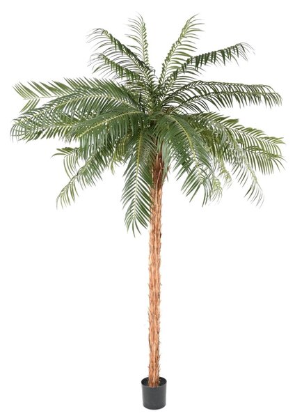 Umělá Phoenix palma přírodní kmen, 260cm
