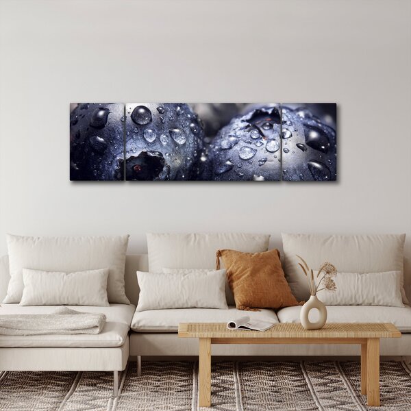 Obraz ovoce s kapkami vody (170x50 cm)