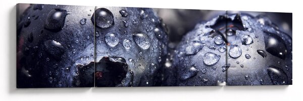 Obraz ovoce s kapkami vody (170x50 cm)