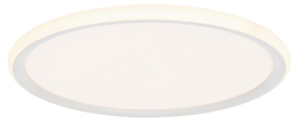 STROPNÍ LED SVÍTIDLO, 40/3,5 cm Novel - Stropní svítidla