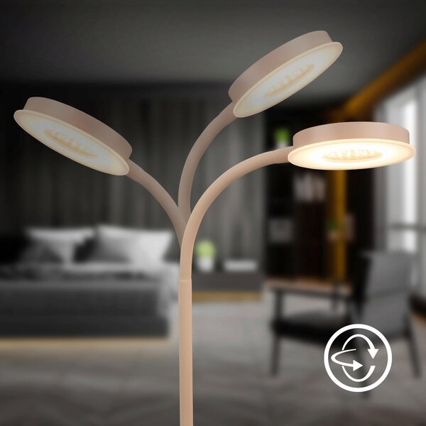 STOLNÍ LED LAMPA, dotykový stmívač, 13/55,5 cm - Stolní lampy