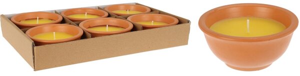Citronella v terakotě 110x110x50mm