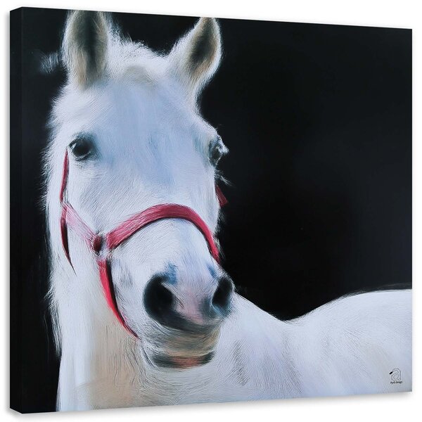 Obraz na plátně Bílá koňská hlava Rozměry: 30 x 30 cm