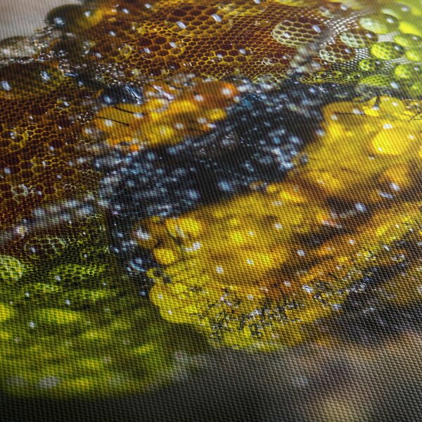 Detailní obraz očí hmyzu (70x50 cm)