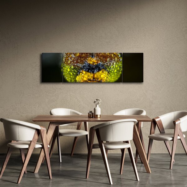 Detailní obraz očí hmyzu (170x50 cm)