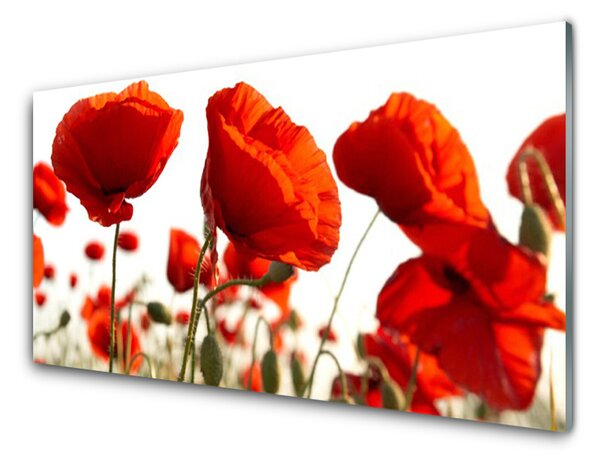 Kuchyňský skleněný panel Tulipány Květiny 120x60 cm