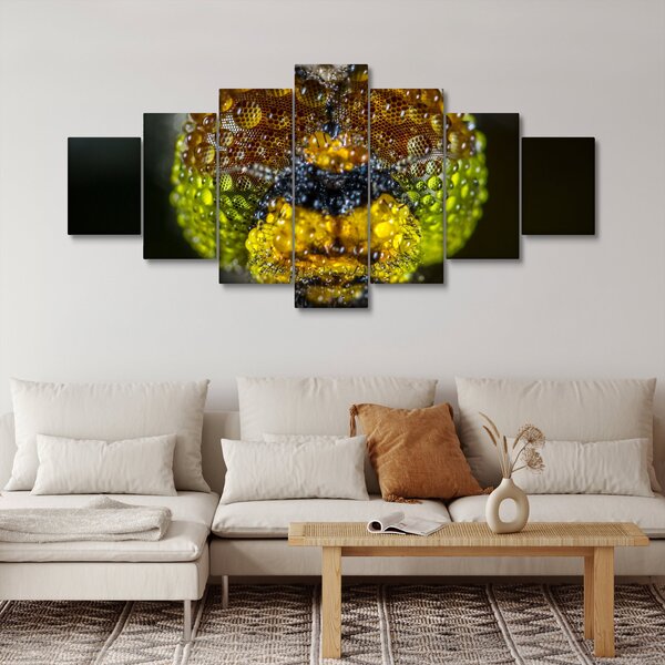 Detailní obraz očí hmyzu (210x100 cm)