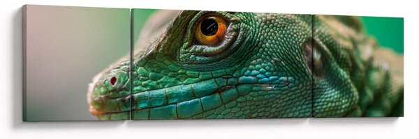 Detailní obraz ještěra (170x50 cm)