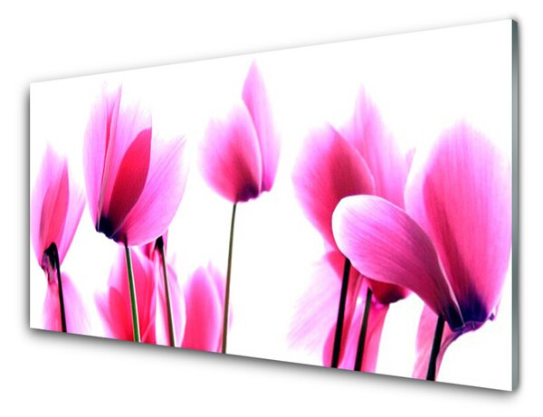 Kuchyňský skleněný panel Květíny Rostlina 125x50 cm