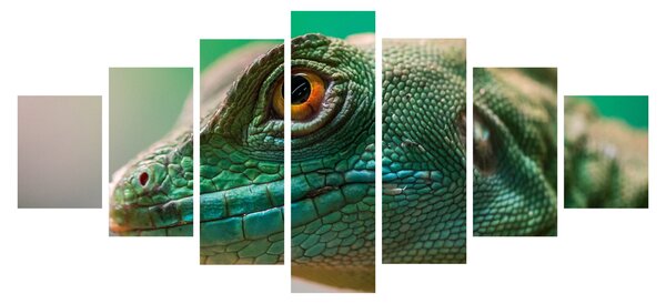 Detailní obraz ještěra (210x100 cm)