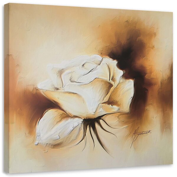 Obraz na plátně Jako ručně malovaná bílá růže Rozměry: 30 x 30 cm