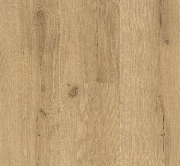 PARADOR Basic 2.0 Dub Infinity přírodní svěží struktura 1730799 - 4.47 m2