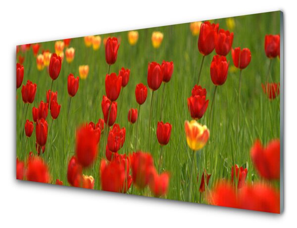 Kuchyňský skleněný panel Tulipány Rostlina 125x50 cm